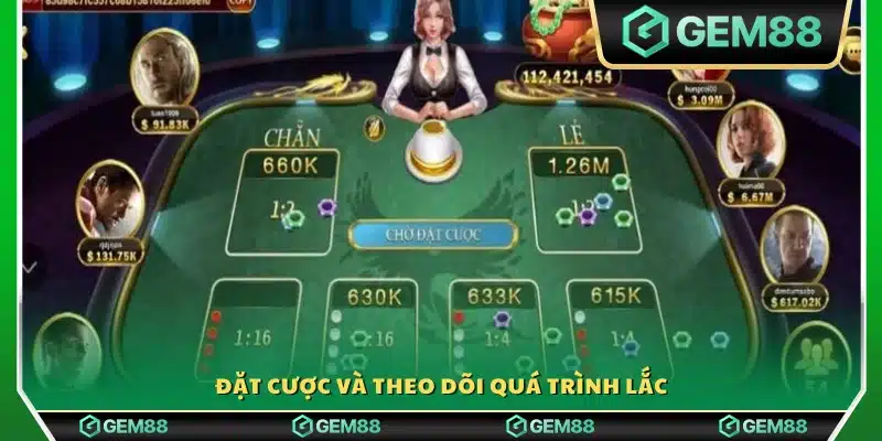 Thực hiện đặt tiền cược và theo dõi diễn biến lắc