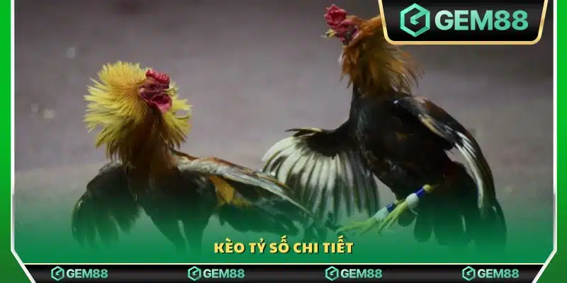 Khám phá kèo tỷ số chi tiết