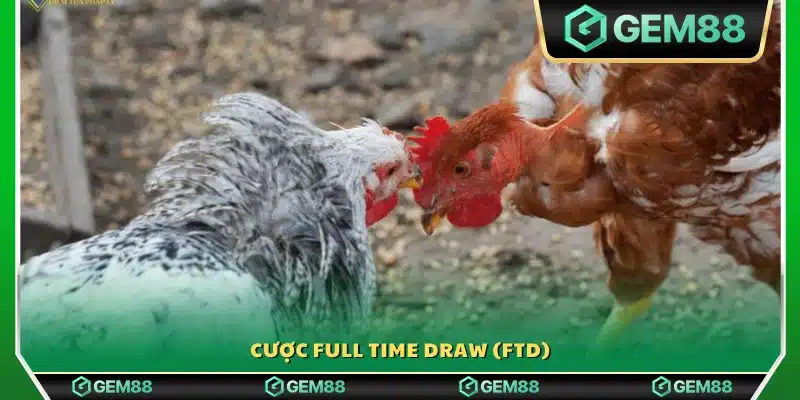 Hình thức cược Hòa cả trận (FTD)