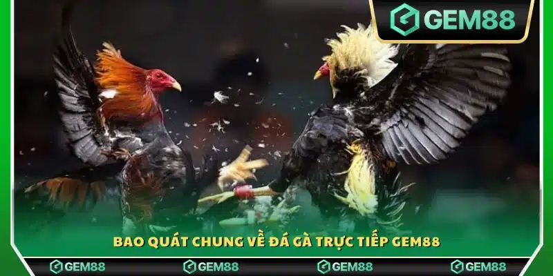 Khái quát toàn cảnh sảnh đá gà trực tiếp Gem88