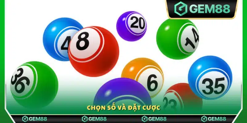 Chọn dãy số mong muốn rồi xác nhận cược 